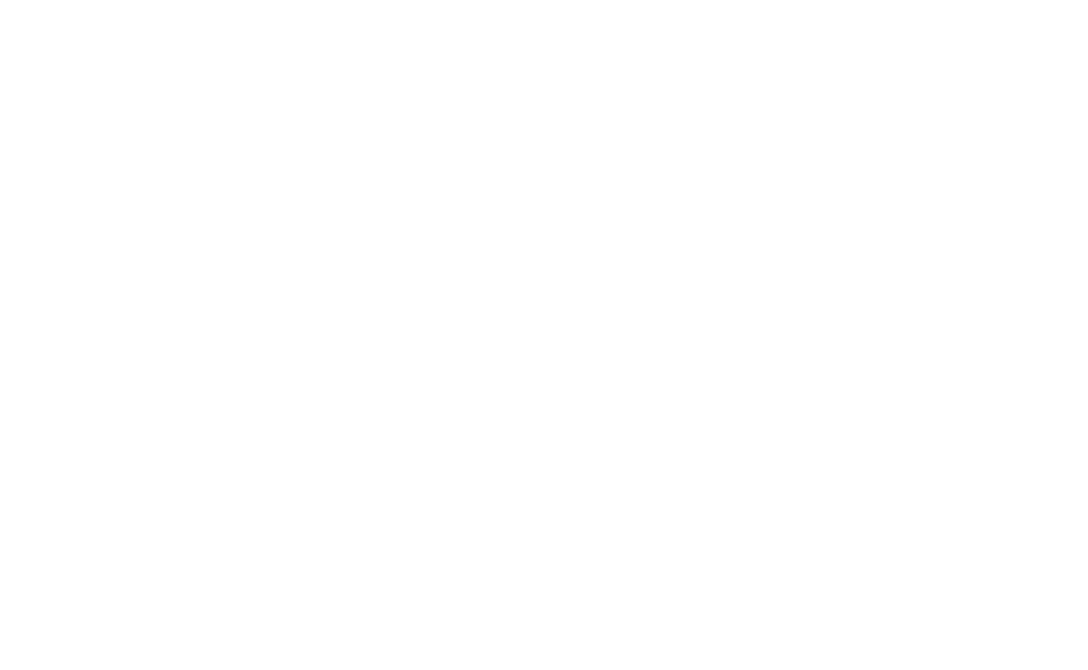 JY Management Holding